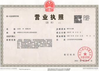 內(nèi)資公司注冊(cè) 工商、稅務(wù)、記賬一站式服務(wù)全解析